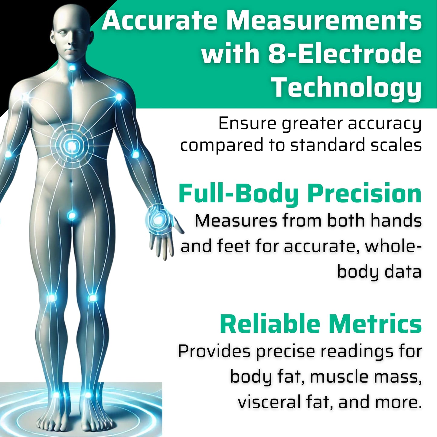 Clinical-Grade 8-Electrode Segmental Body Composition Scale