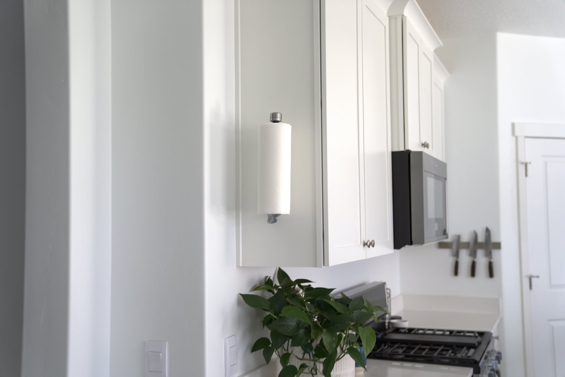 Modern kitchen with white cabinets, a plant, and a light fixture.